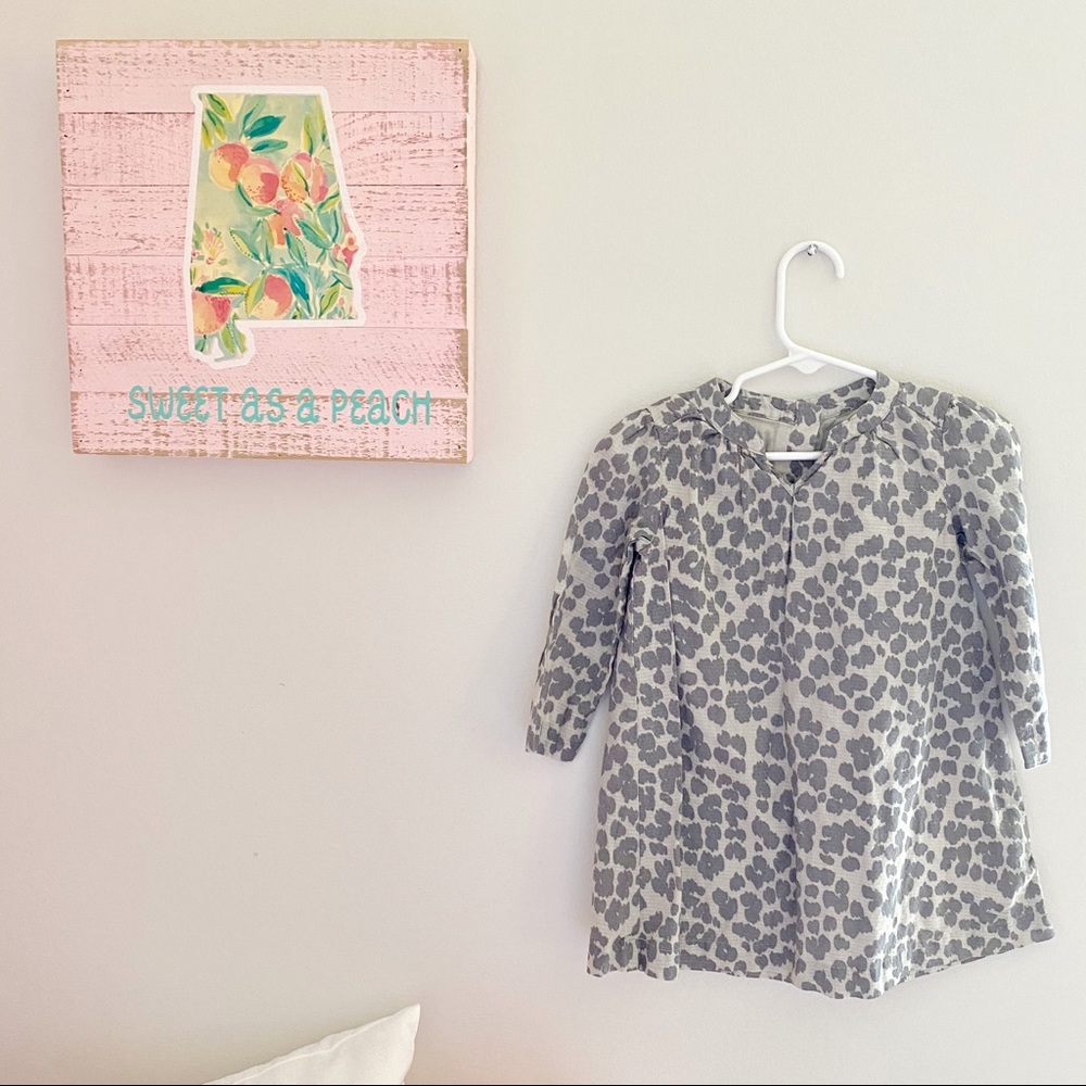 Baby Gap Animal Print Dress 2-3 Years